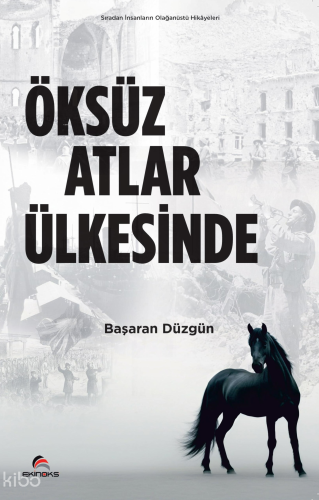 Öksüz  Atlar  Ülkesinde                                            ;Sıradan İnsanların Olağanüstü Hikayeleri