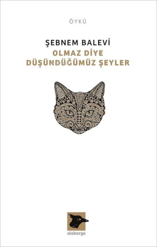 Olmaz Diye Düşündüğümüz Şeyler - Kitapiks.com