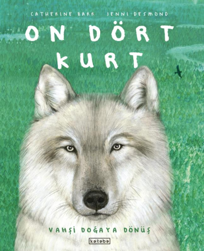 On Dört Kurt - Kitapiks.com