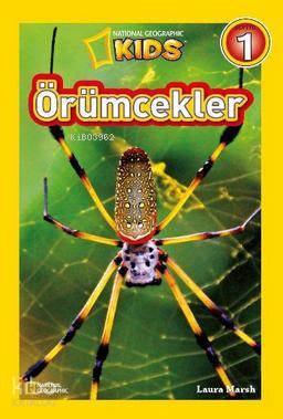 Örümcekler-Seviye 1