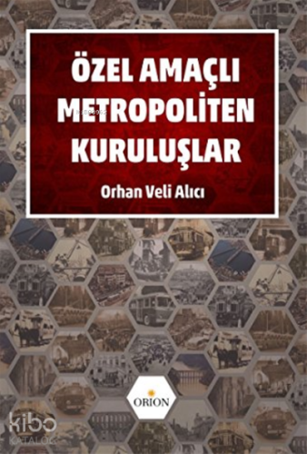Özel Amaçlı Metropoliten Kuruluşlar;Büyükşehir Belediyelerine Bağlı İdareler