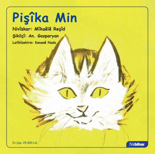 Pişîka Min