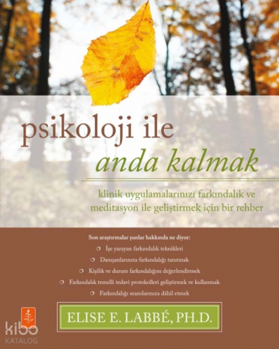Psikoloji ile Anda Kalmak: Klinik Uygulamalarınızı Farkındalık ve Meditasyon ile Geliştirmek için Bir Rehber ;Psychology Moment by Moment - A Guide to Enhancing Your Clinical Practice with Mindfulness