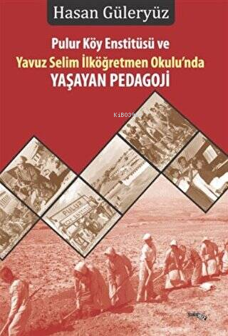 Pulur Köy Enstitüsü Ve Yavuz Selim İlköğretim Okulu'nda Yaşayan Pedagoji