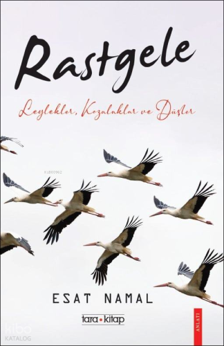 Rastgele;Leylekler, Kozalaklar ve Düşler