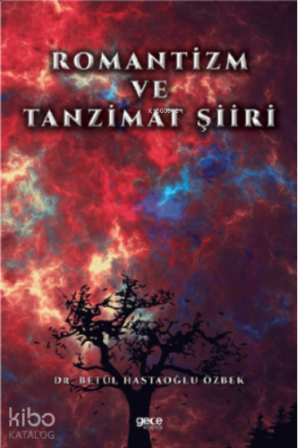 Romantizm ve Tanzimat Şiiri