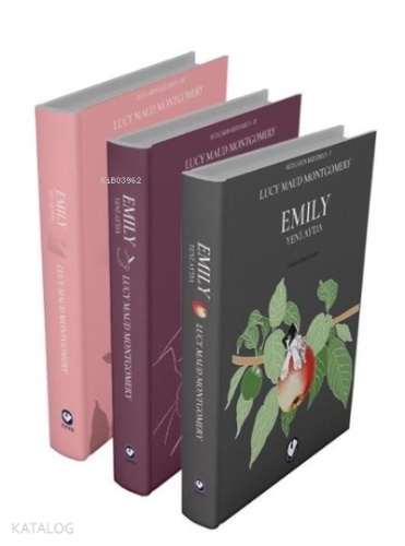Rüzgarın Kızı Emily Serisi (3 Kitap Takım)