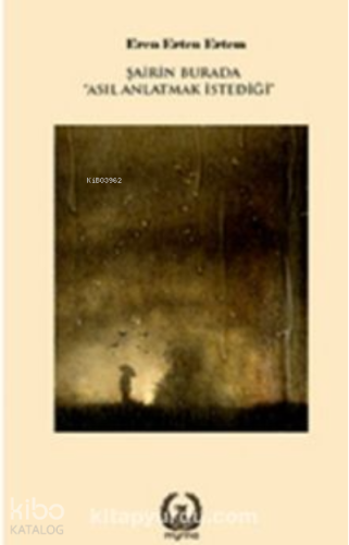 Şairin Burada “Asıl Anlatmak İstediği”