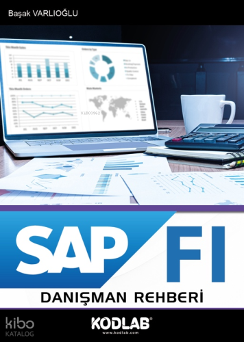 Sap Fı Danışman Rehberi