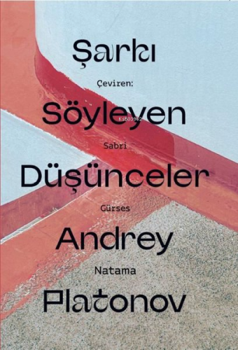 Şarkı Söyleyen Düşünceler - Kitapiks.com