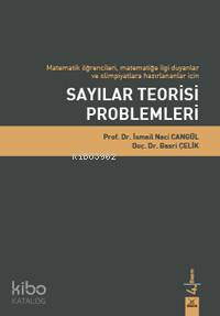 Sayılar Teorisi Problemleri