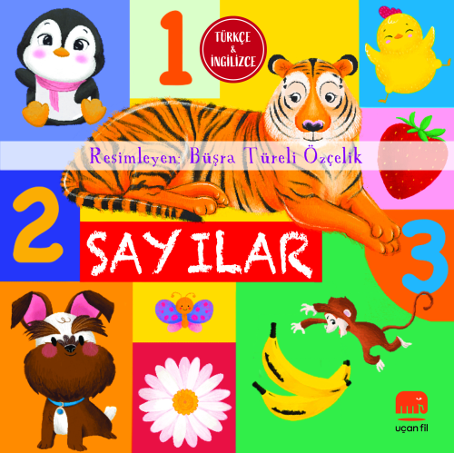 Sayılar