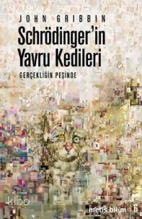 Schrödinger'in Yavru Kedileri; Gerçekliğin Peşinde