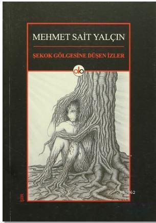 Şekok Gölgesine Düşen İzler