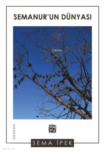 Semanur'un Dünyası