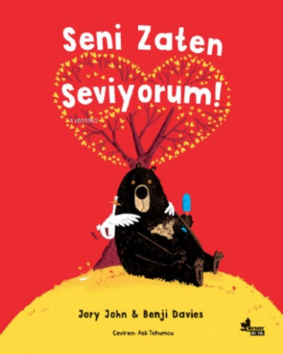 Seni Zaten Seviyorum - Kitapiks.com