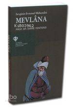 Sevginin Evrensel Mühendisi Mevlana