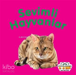 Sevimli Hayvanlar