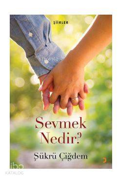 Sevmek Nedir?