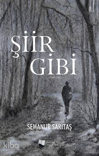 Şiir Gibi