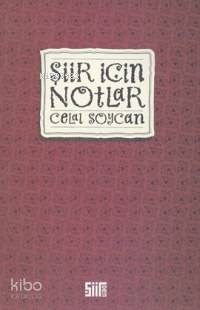 Şiir İçin Notlar