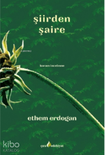 Şiirden Şaire