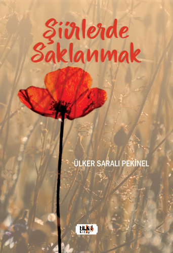 Şiirlerde Saklanmak - Kitapiks.com