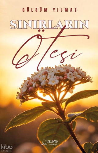 Sınırların Ötesi