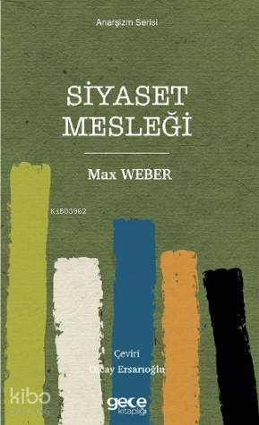 Siyaset Mesleği