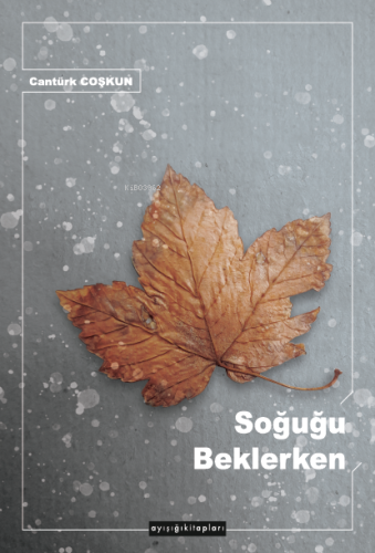Soğuğu Beklerken - Kitapiks.com