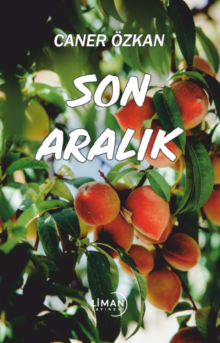 Son Aralık - Kitapiks.com