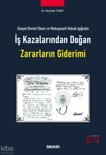 Sosyal Devlet İlkesi ve Mukayeseli Hukuk Işığında İş Kazalarından Doğan Zararların Giderimi
