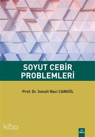 Soyut Cebir Problemleri - Kitapiks.com