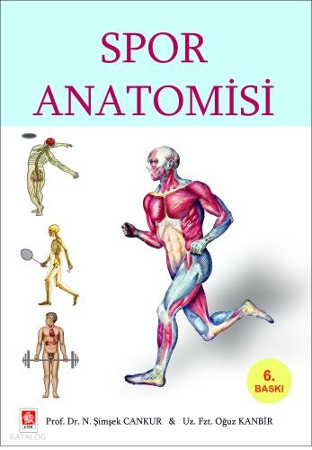 Spor Anatomisi