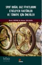 Spot Doğal Gaz Fiyatlarını Etkileyen Faktörler ve Türkiye İçin Öneriler
