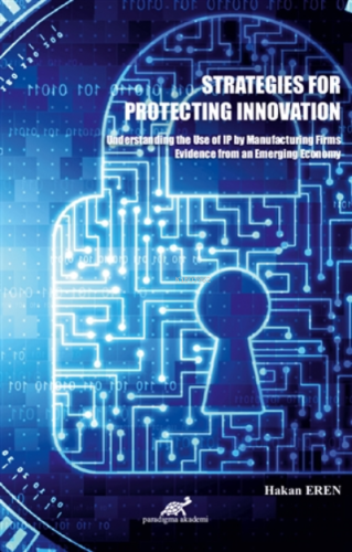 Strategies For Protecting Innovation - Kitapiks.com