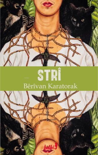 Strî - Kitapiks.com
