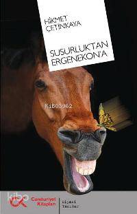 Susurluk´tan Ergenekon´a - Kitapiks.com