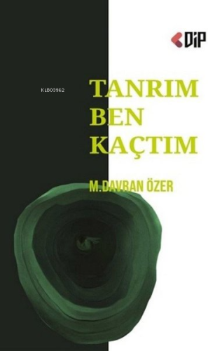 Tanrım Ben Kaçtım - Kitapiks.com