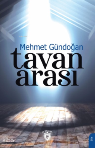 Tavan Arası
