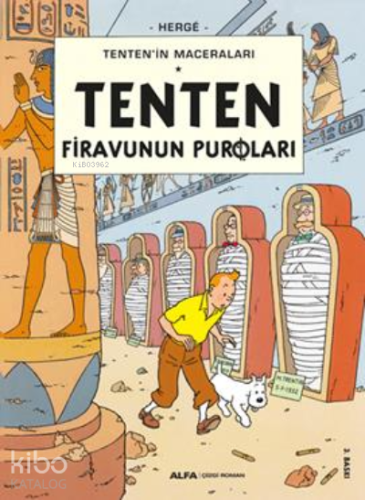 Tenten Firavunun Puroları; Tenten'in Maceraları