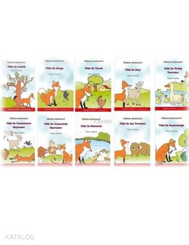 Tilkinin Serüveni - 10 Kitap