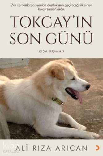 Tokcay’ın Son Günü - Kitapiks.com
