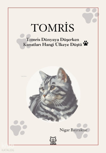 Tomris;Tomris Dünyaya Düşerken Kanatları Hangi Ülkeye Düştü