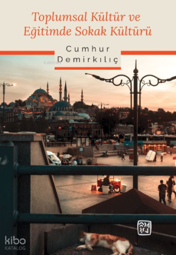 Toplumsal Kültür ve Eğitimde Sokak Kültürü