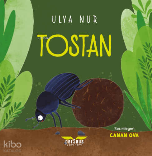 Tostan