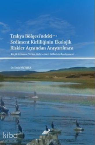 Trakya Bölgesi'ndeki Sediment Kirliliği;Ekolojik Riskler Açısından Araştırılması Küçük Çekmece, Terkos, Gala ve Mert Göllerinin İncelenmesi