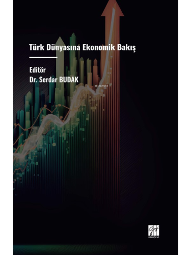 Türk Dünyasına Ekonomik Bakış - Kitapiks.com
