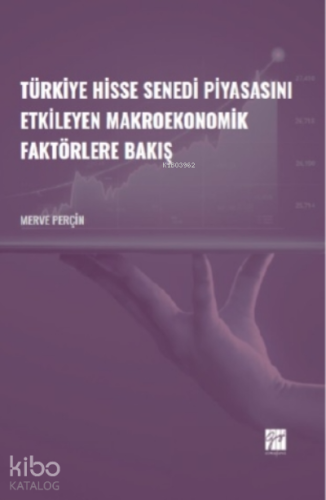Türkiye Hisse Senedi Piyasasını Etkileyen Makroekonomik Faktörlere Bak