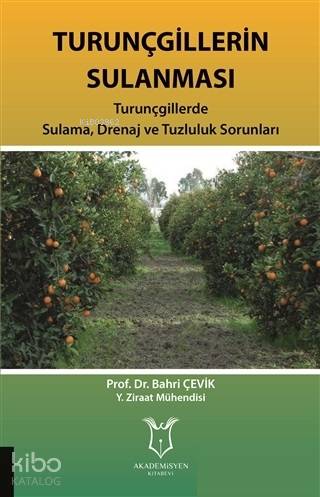 Turunçgillerin Sulanması; Turunçgillerde Sulama Drenaj ve Tuzluluk Sorunları
